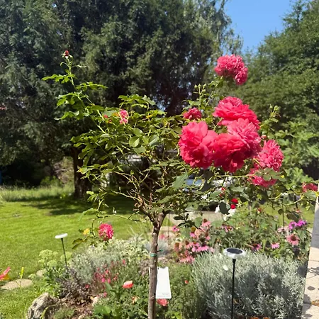 Haus Sonnenklang Sajkod بيت للعطل تيهاني