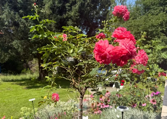 Haus Sonnenklang Sajkod Сasa de vacaciones Tihany